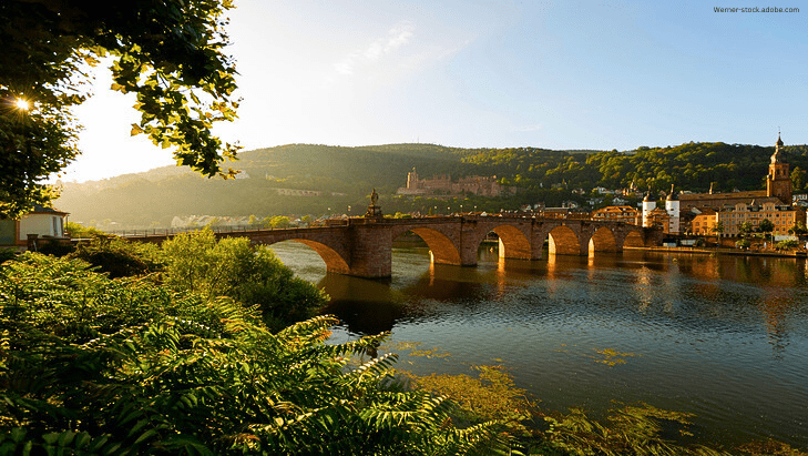 Auf dem Bild ist eine Brücke in Heidelberg zu sehen. Im Vordergrund sind Pflanzen zu erkennen.