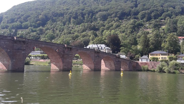 SEO bietet Chancen für Unternehmen aus Heidelberg